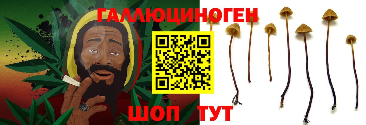 Арзамас  Псилоцибиновые грибы Psilocybe  Вход с VPN 